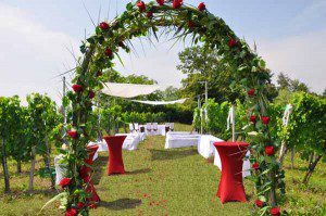 hochzeit-weingut