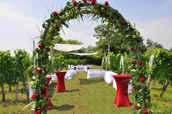 Heiraten im Weingarten mit DJ Andy